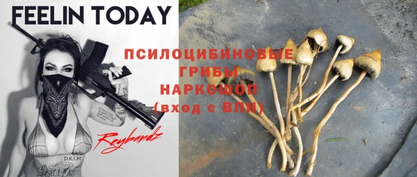PSILOCYBIN Лихославль