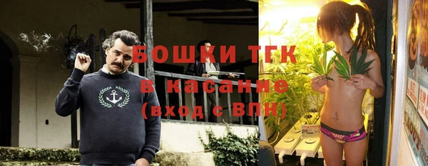 твердый Лабытнанги