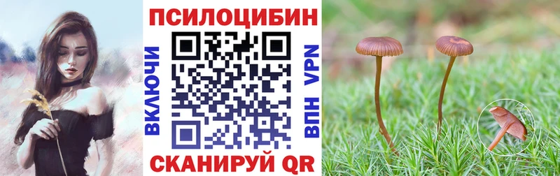 Купить  Борисоглебск  Псилоцибиновые грибы Psilocybe 